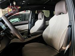 بي واي دي سونغ بلس